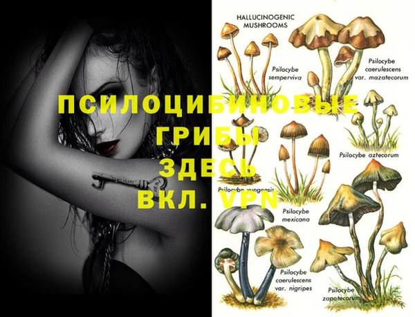меф VHQ Богданович